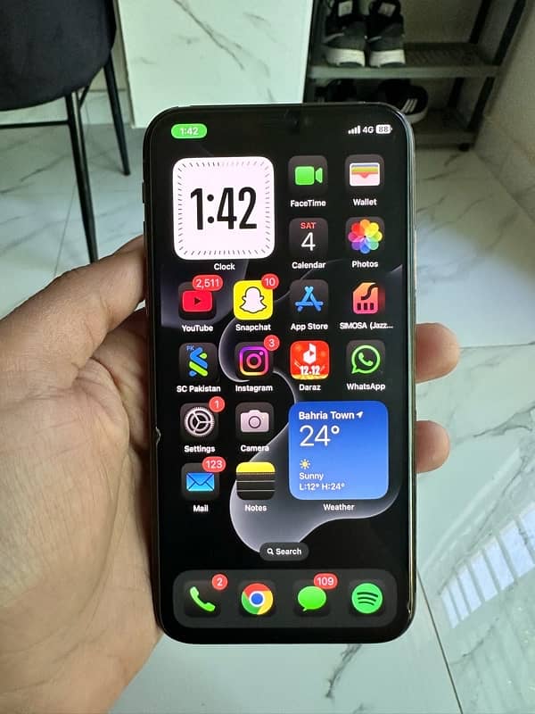 iPhone XS PTA 6