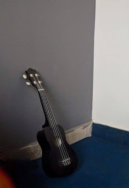 Matt Black Ukulele 0