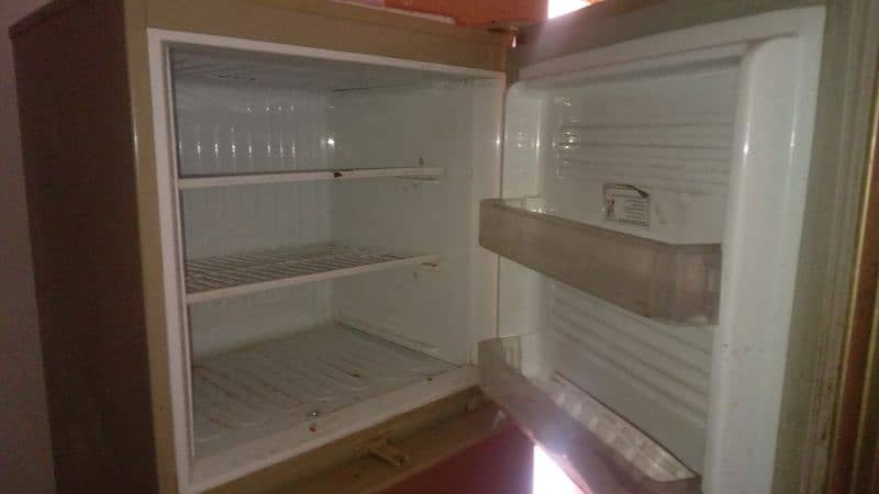 PEL Refrigerator for sale / Fridge for Sale 5