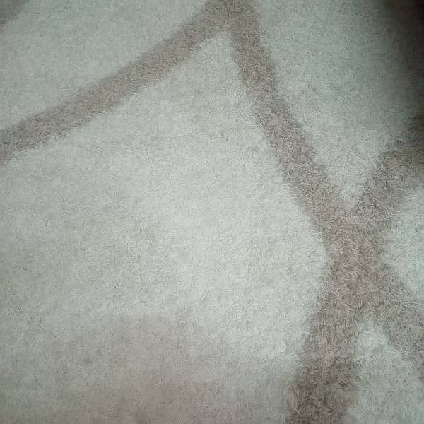 carpet 0