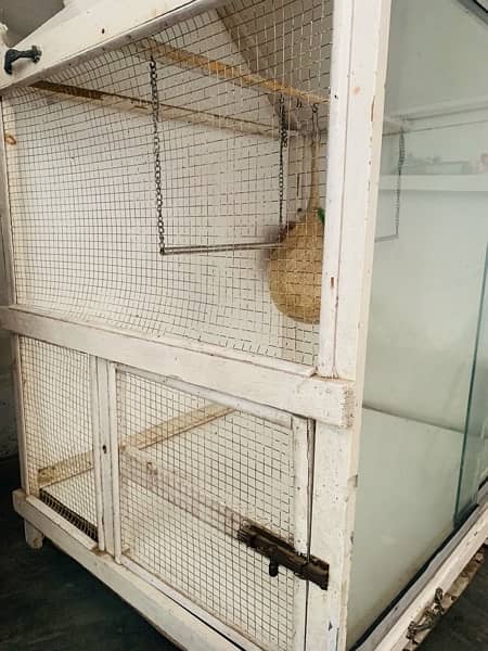 birds cage galasis door 2