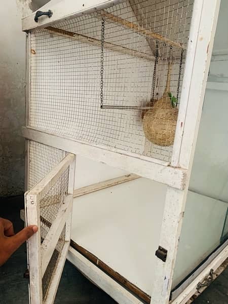 birds cage galasis door 3