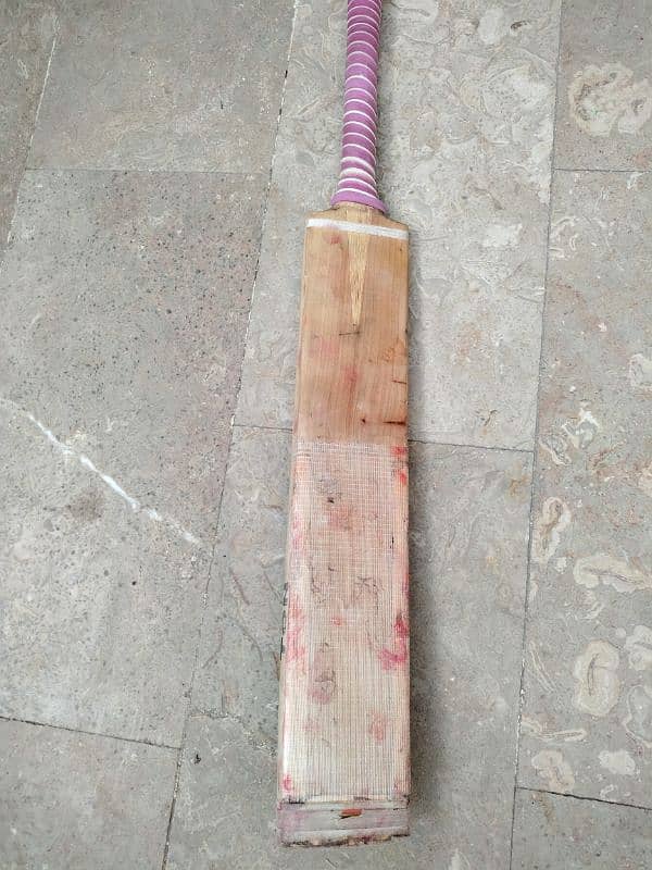 English willow bat for sale 6