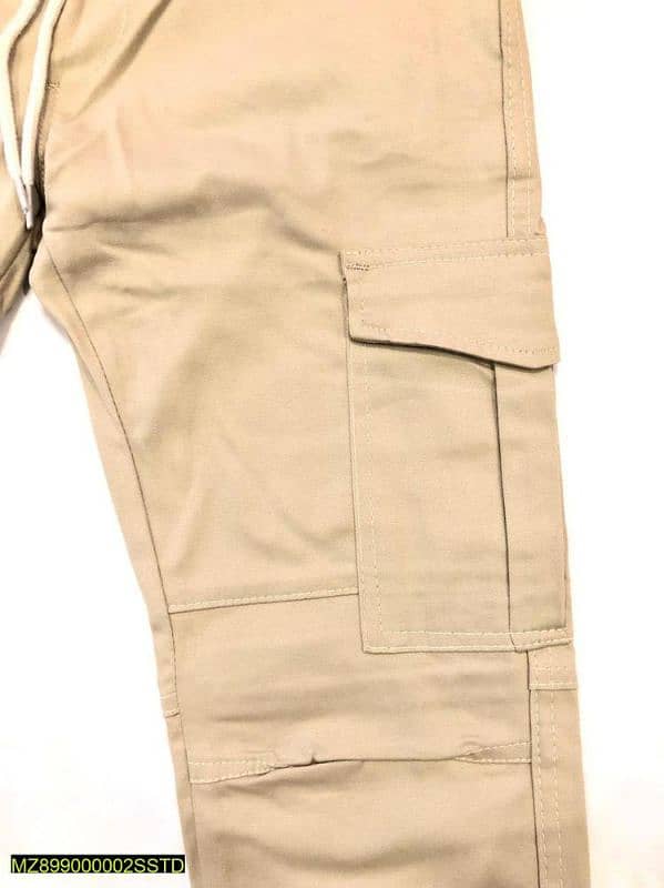 Cotton Plain Cargo Pant 2