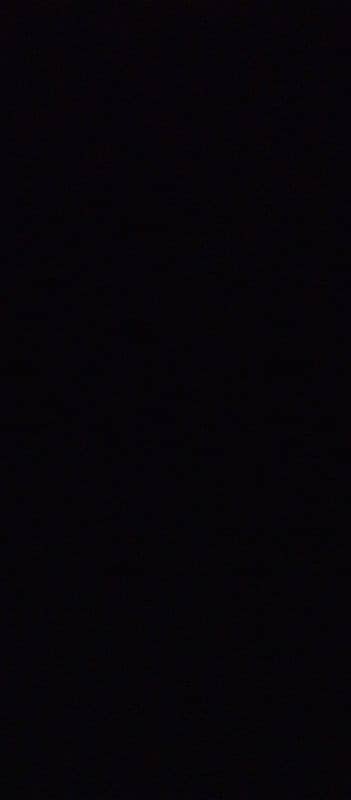 we need female staff