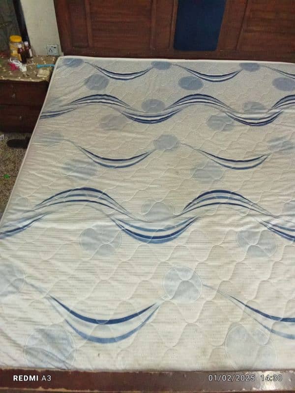 molty foam mattress 2