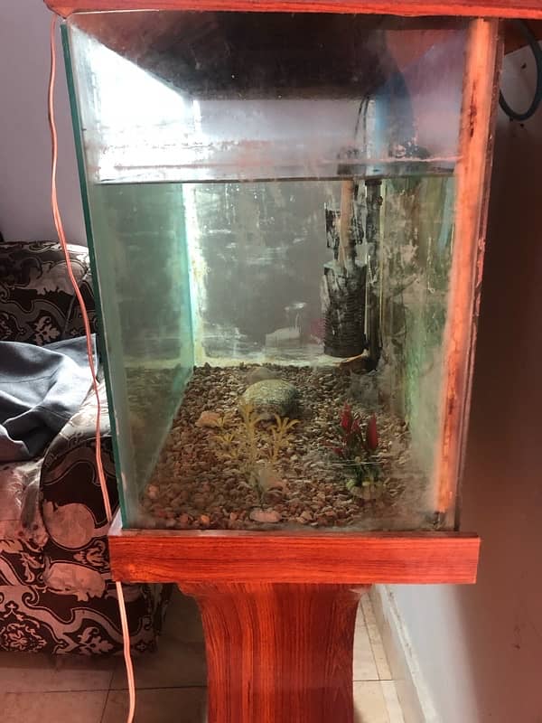 fish tank 3