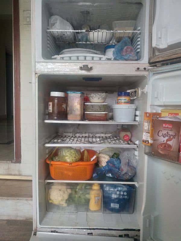 pel room fridge 1