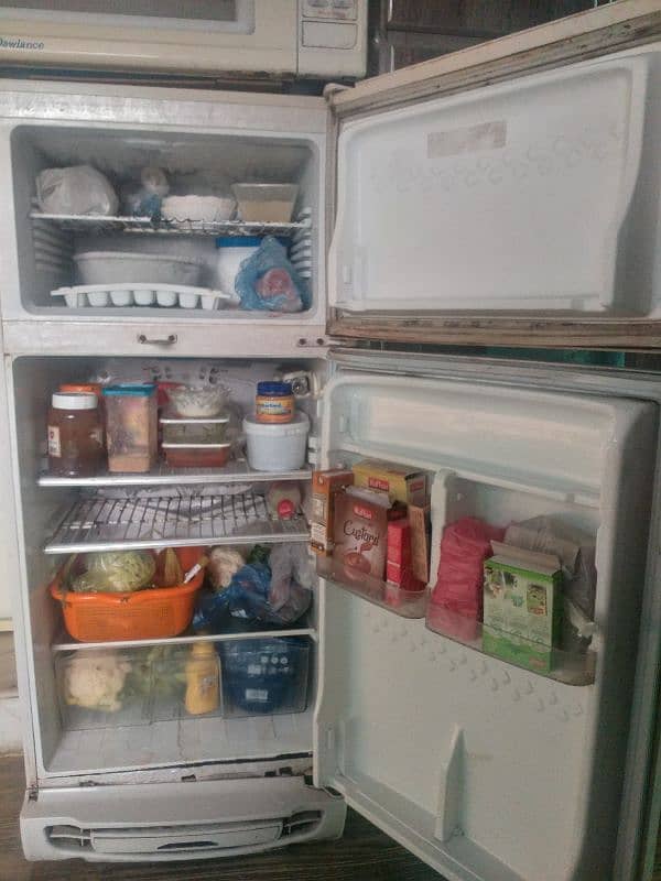 pel room fridge 2