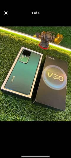 vivo