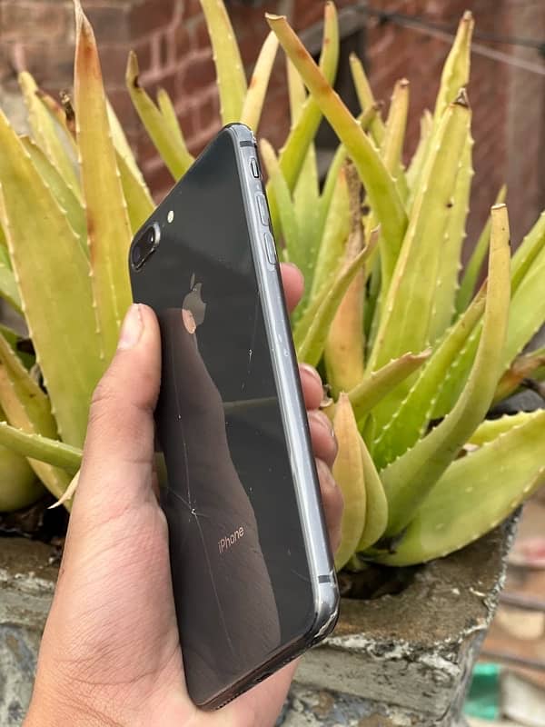 iphone 8plus ( PTA APPROVED  ) 03269969969 whatspp And Local 2