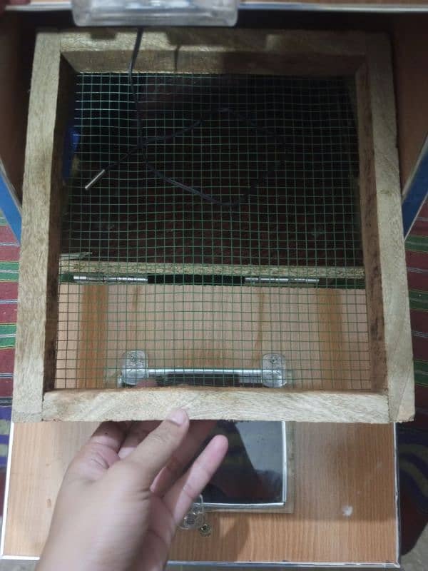 incubator for sale 2