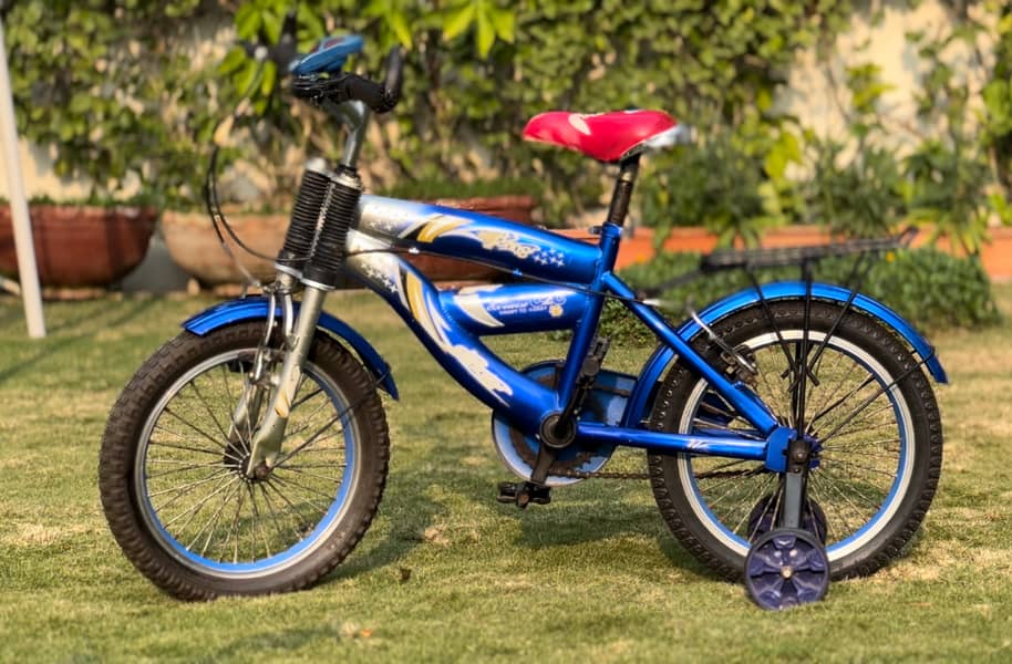 Chinese Imported Blue Kids Bike with Training Wheels 0