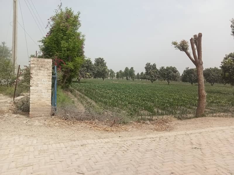 Commercial plot for sale 2