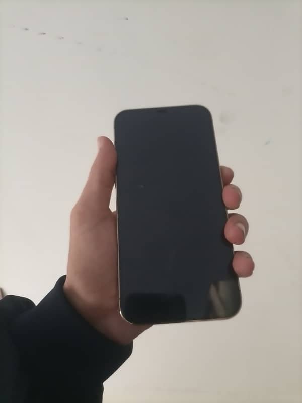 IPHONE 12 PRO MAX 256 GB JV 6