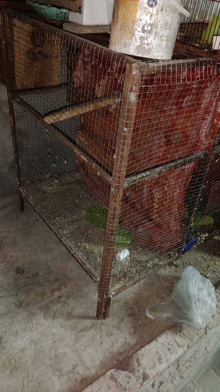 incubator and master cage for raw, ringneck and other birds 6