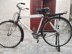 sohrab cycle for sale 10/9