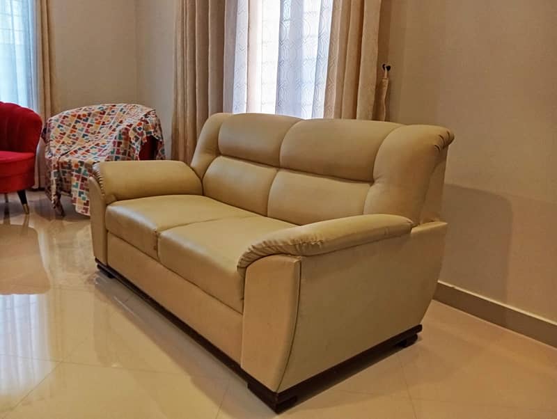 Sofa (2 Seater) for Sale 1