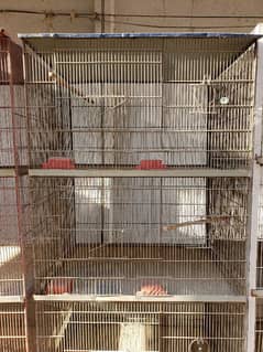 Cages(Pinjray) Galvanized Steel. Breeding boxes for Cockteil, birds.