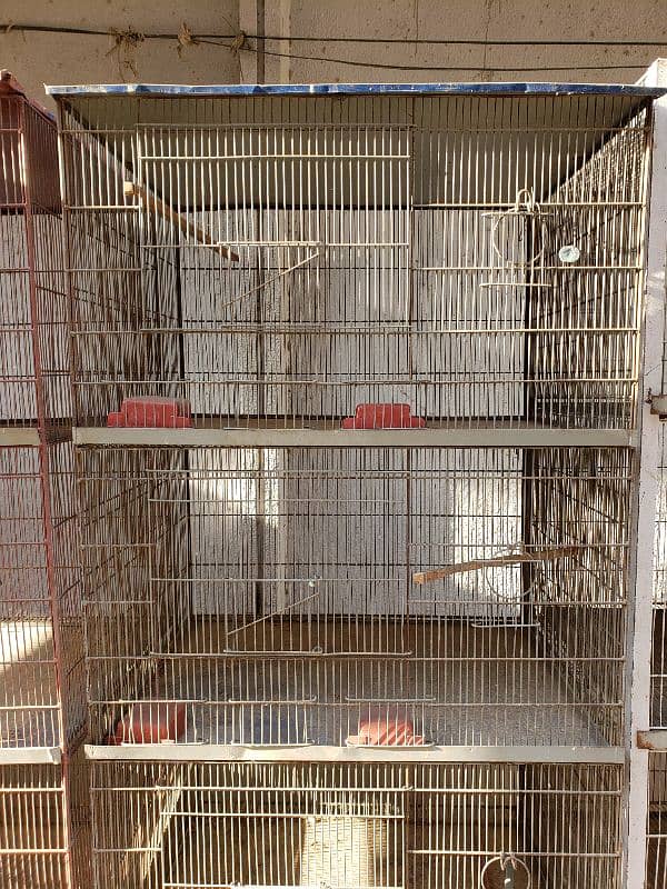 Cages(Pinjray) Galvanized Steel. Breeding boxes for Cockteil, birds. 0