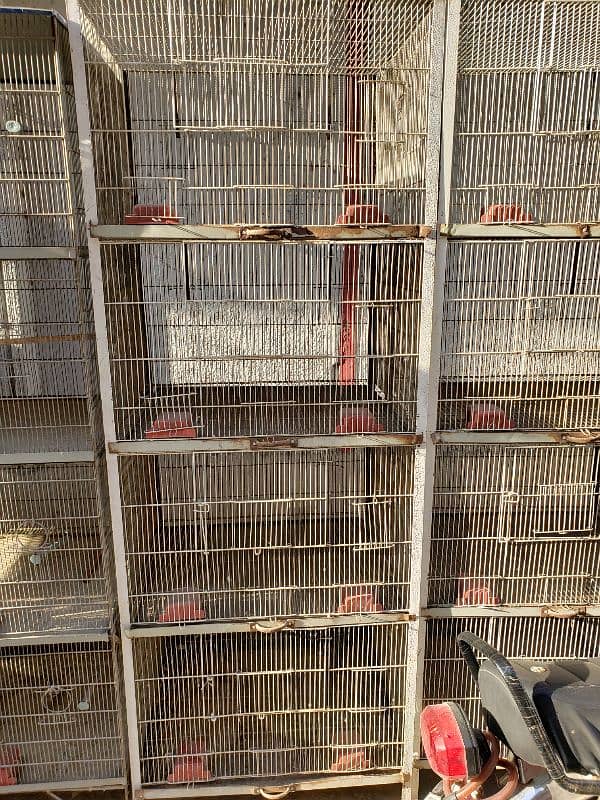 Cages(Pinjray) Galvanized Steel. Breeding boxes for Cockteil, birds. 1