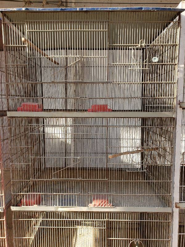 Cages(Pinjray) Galvanized Steel. Breeding boxes for Cockteil, birds. 2