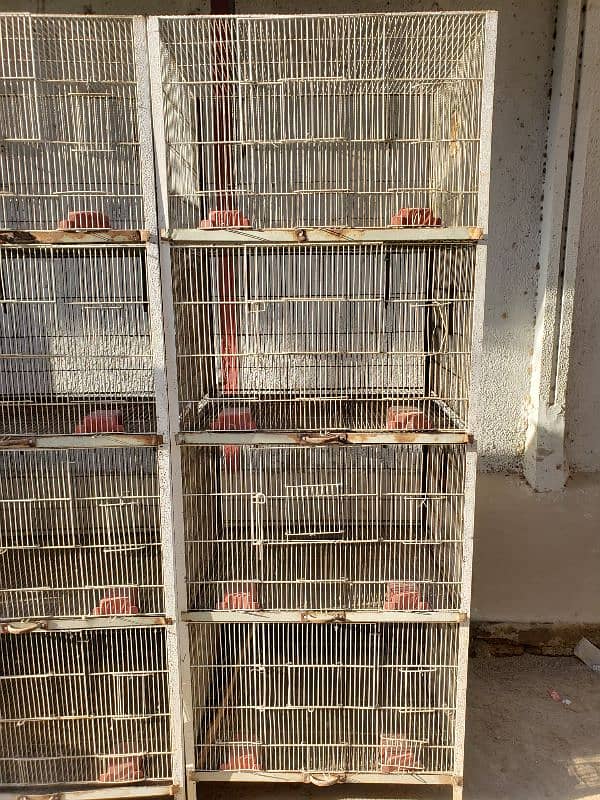 Cages(Pinjray) Galvanized Steel. Breeding boxes for Cockteil, birds. 3