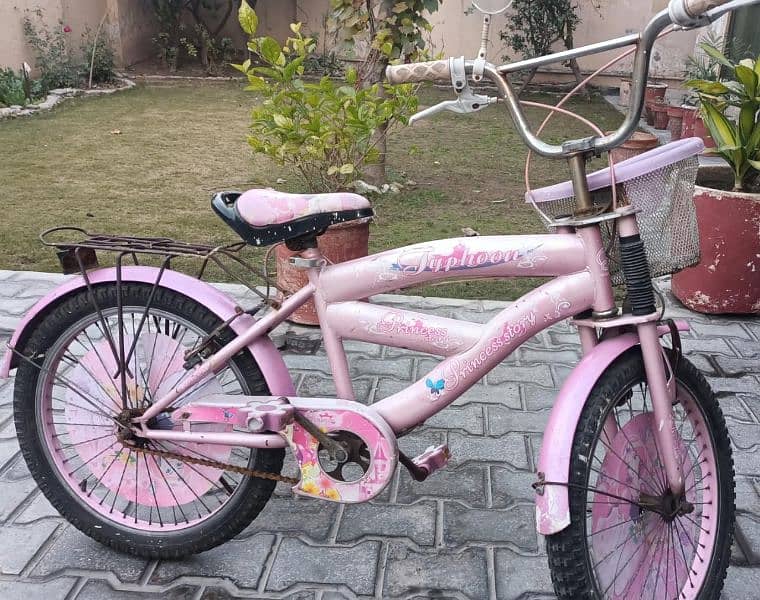 Pink Bicycle for girls 0