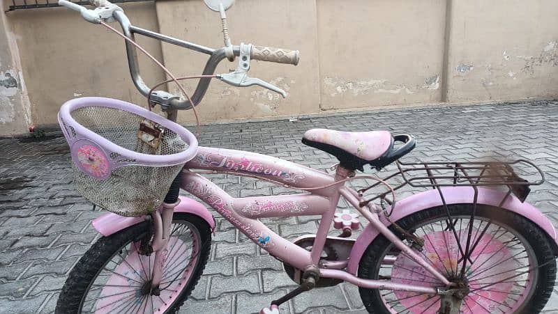 Pink Bicycle for girls 1