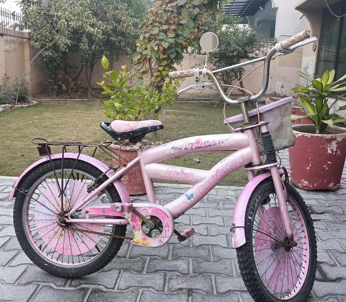 Pink Bicycle for girls 2