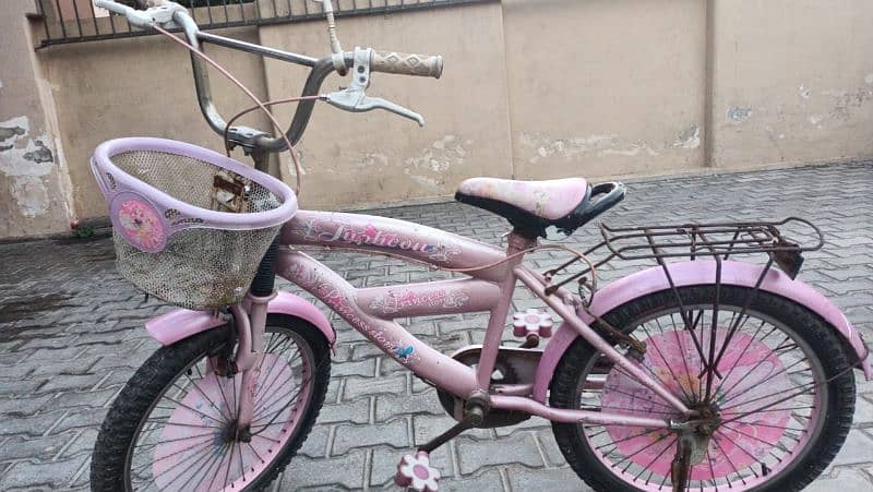 Pink Bicycle for girls 3