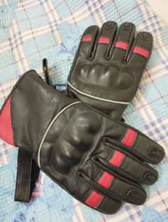 Winter Riding Gloves