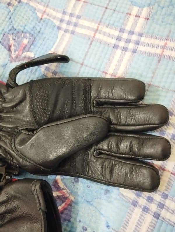 Winter Riding Gloves 1