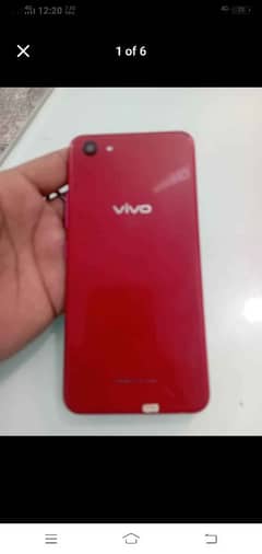 vivo