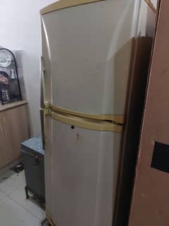 PEL Refrigerator