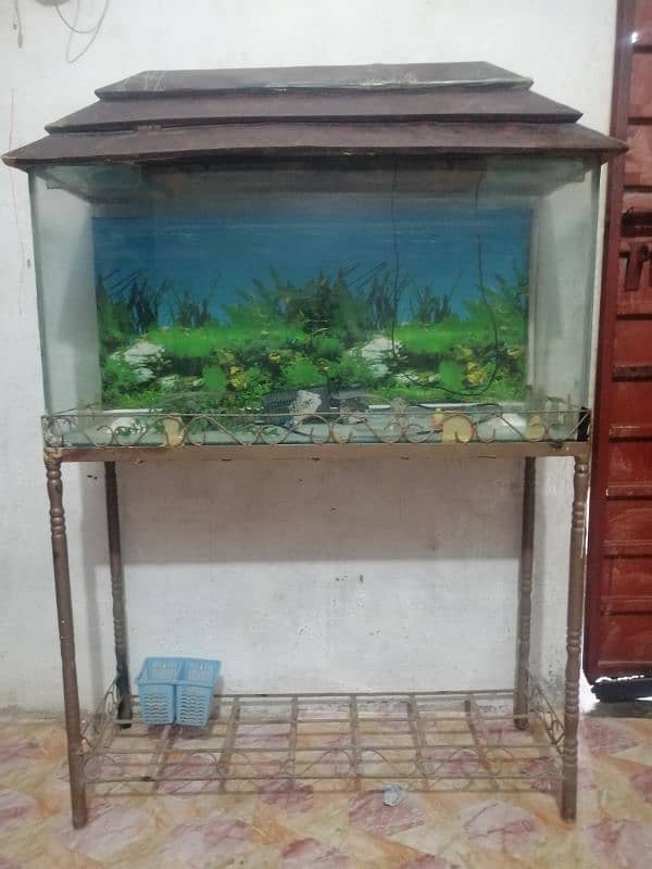 aquarium 3