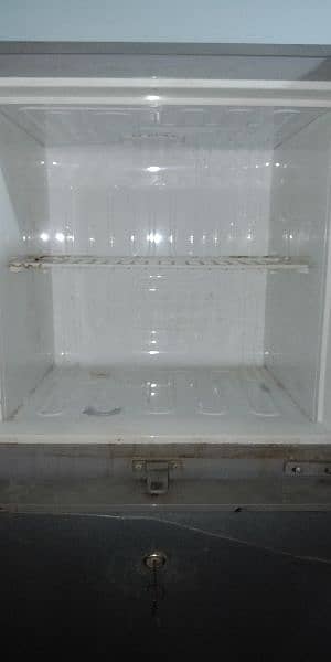 Pel Fridge for sell 7