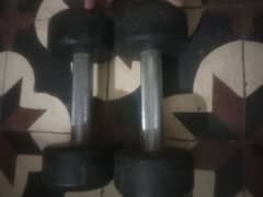 2KG DUMBBELLS