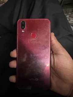 Vivo