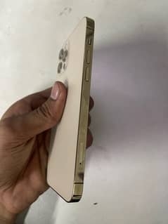 iphone 12 pro 256gb