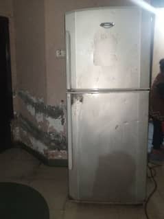 haier full size refrigerator