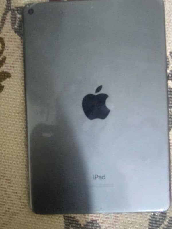 Ipad mini 5 1