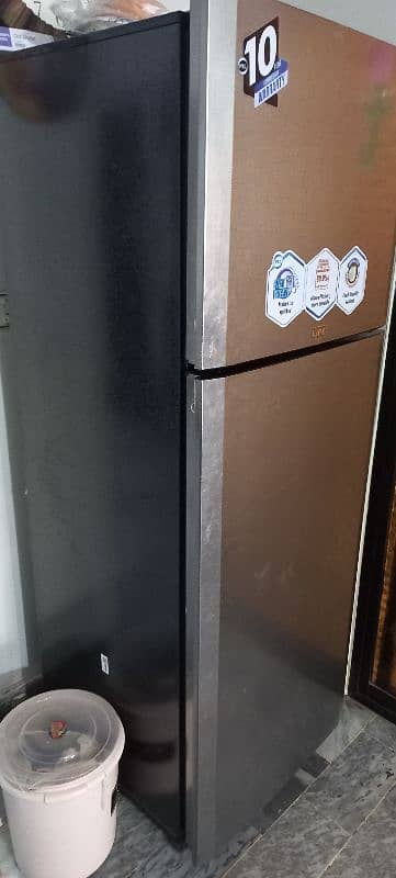 PEL prolife Refrigerator for sale 3