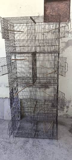 parrots cages