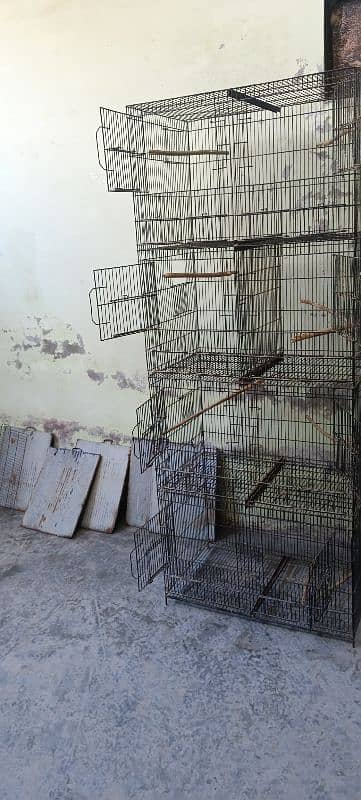 parrots cages 1