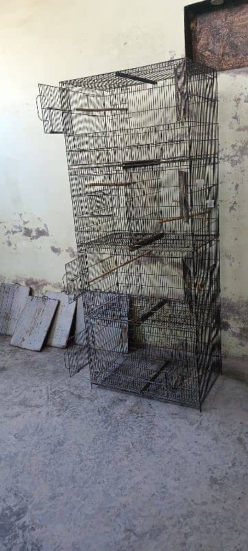 parrots cages 2