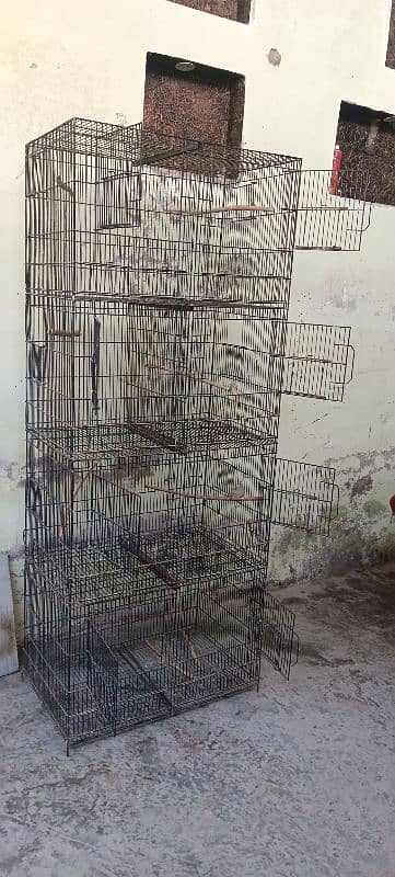 parrots cages 3