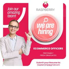 e-commerce surgent employee