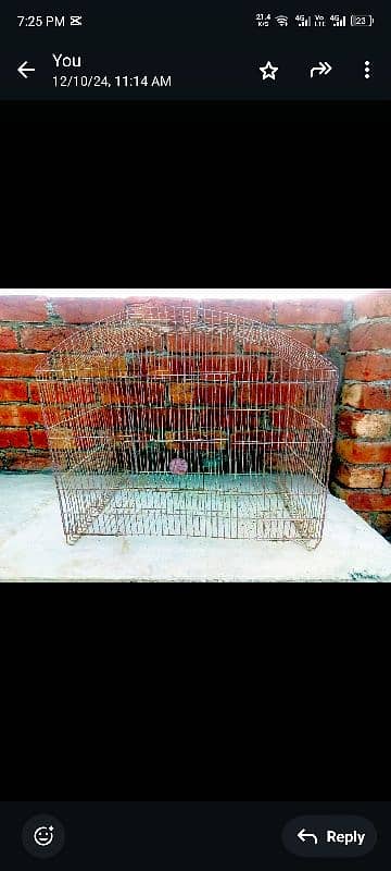 Used caught for Sale 0