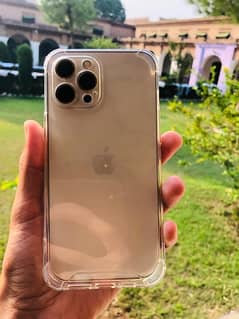 iphone 12 pro max golden colour